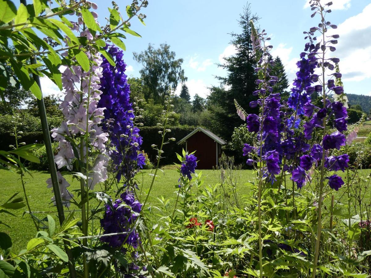 Ferienwohnung Mattenweg 1A Hinterzarten Eksteriør bilde