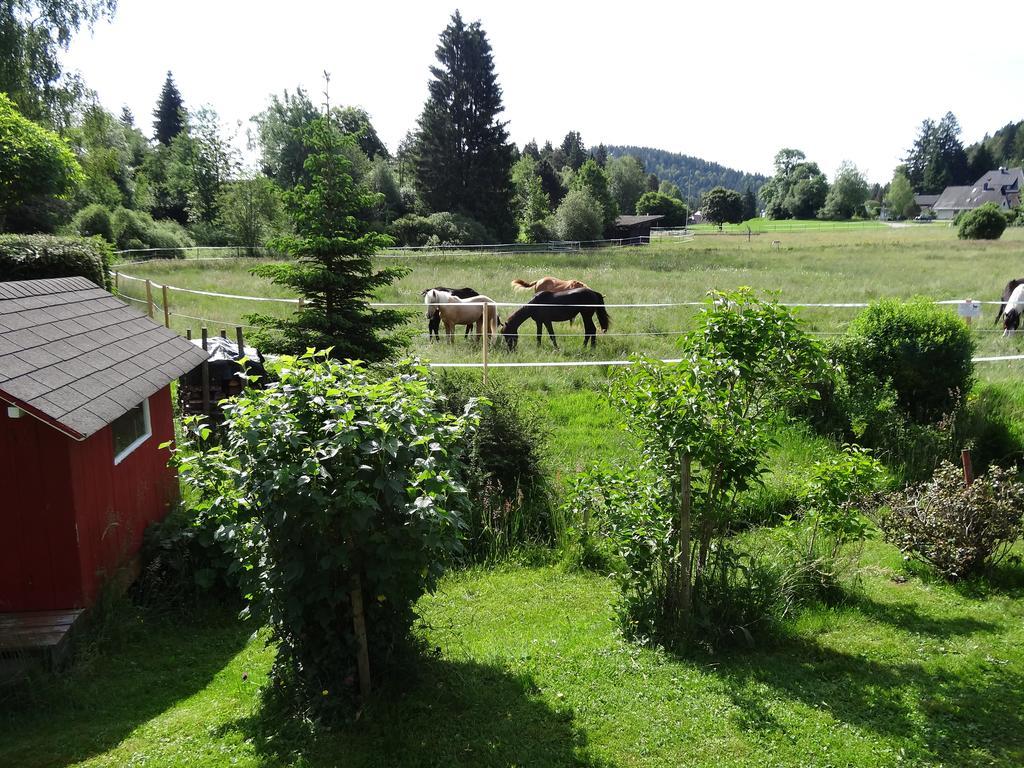 Ferienwohnung Mattenweg 1A Hinterzarten Eksteriør bilde