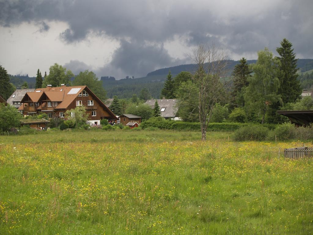 Ferienwohnung Mattenweg 1A Hinterzarten Rom bilde